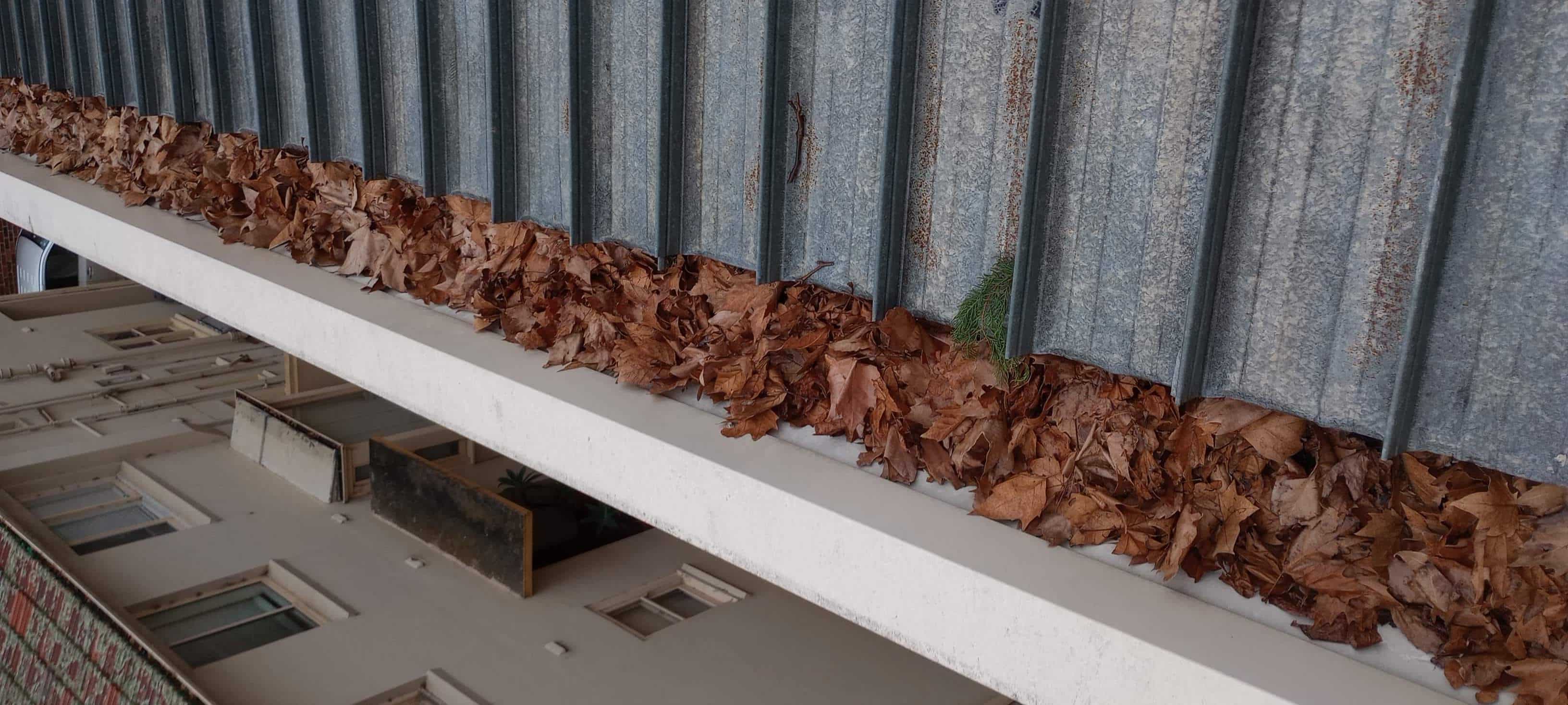 5 reasons to get your gutters cleaned