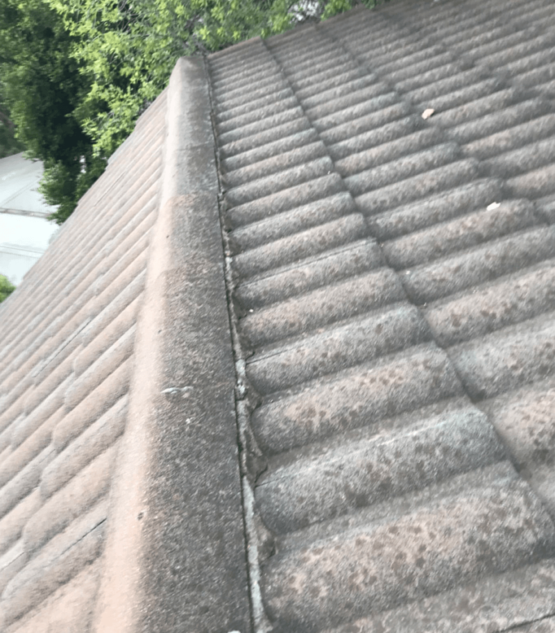 Which Roof Tiles Last the Longest? Royce Roofing