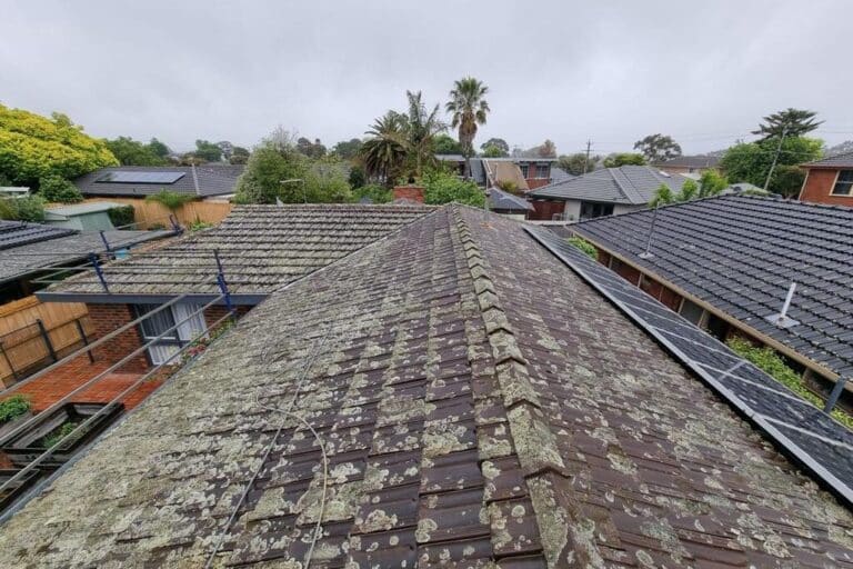 Roof Replacement Melbourne 1 Old concrete tile roof covered in moss and lichen